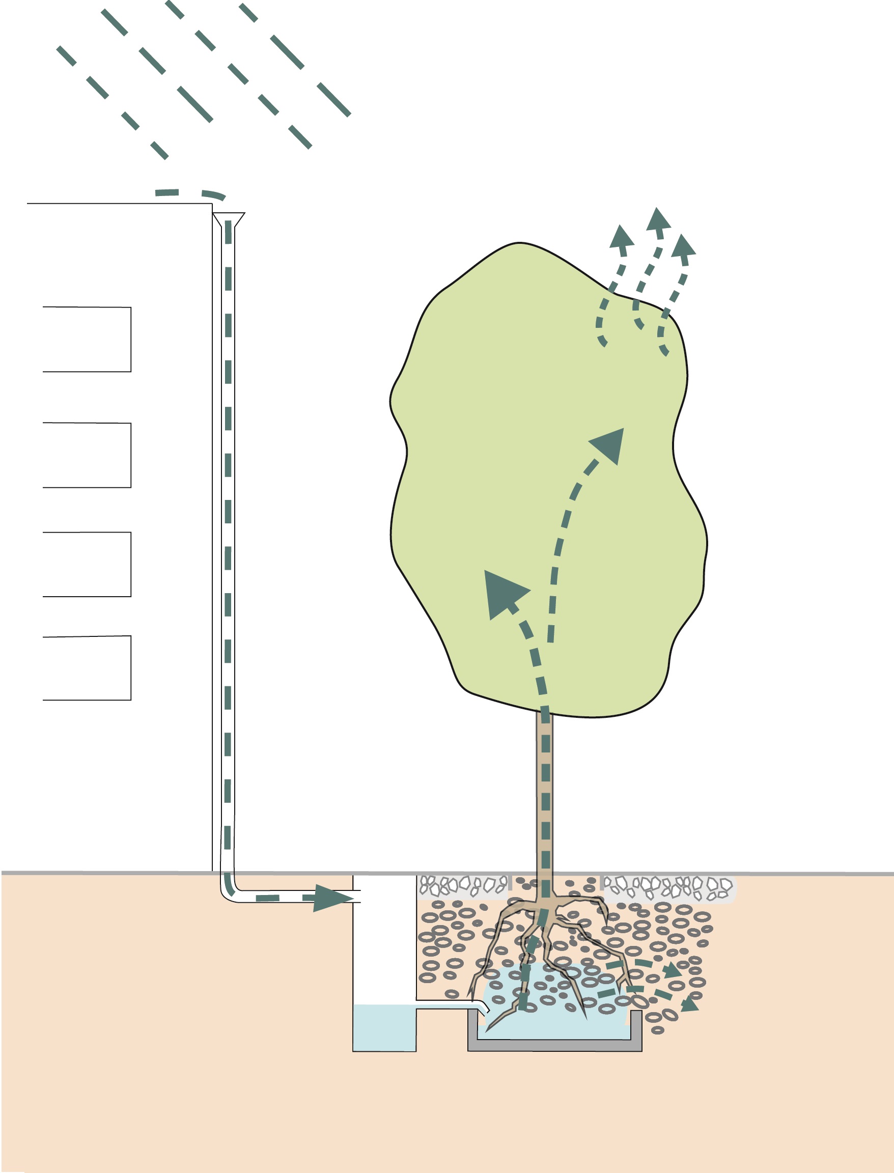 Baumrigole Hölertwiete: Vereinfachte grafische Darstellung ein Baumrigole in der Hölertwiete