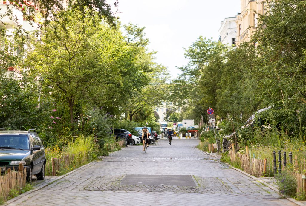 Dezentrale Regenwasserbewirtschaftung im Gräfelkiez - Entsiegelung und Straßenbegleitgrün