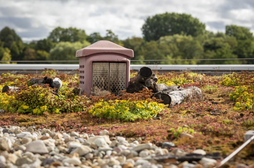 Biodiversitätsgründach auf dem Besucherzentrum der Gärten der Welt in Berlin-Marzahn.