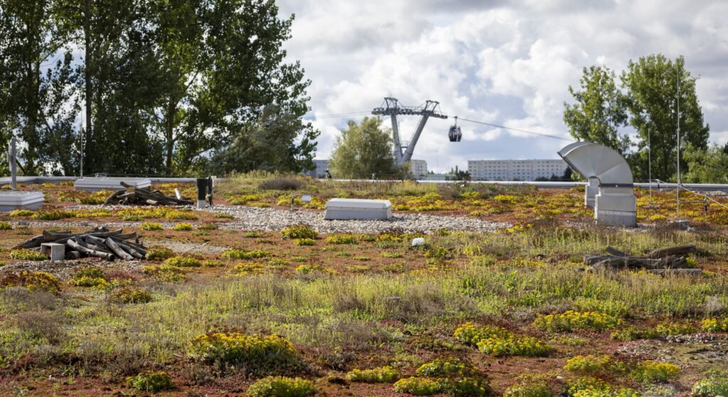 Biodiversitätsgründach auf dem Besucherzentrum der Gärten der Welt in Berlin-Marzahn