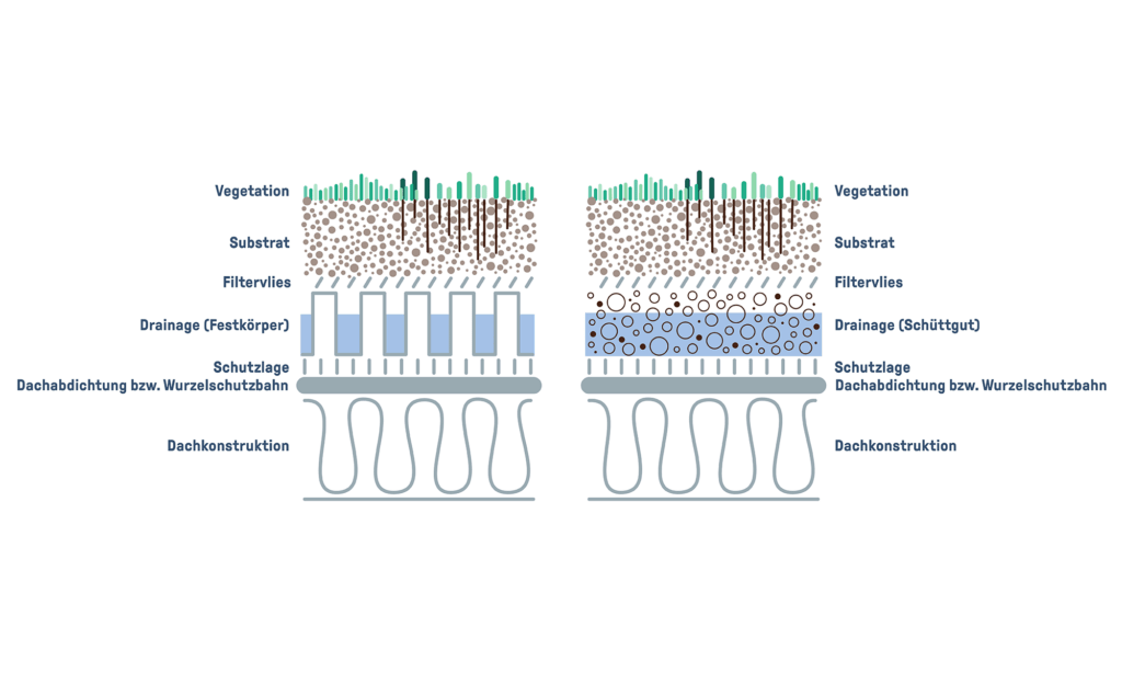 Aufbau einer extensiven Dachbegrünung mit Festkörperdrainage (links) und Schüttgutdrainage (rechts)