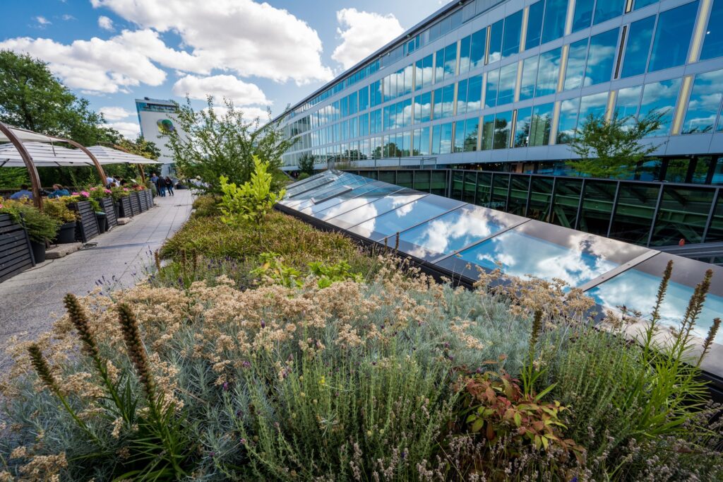 Intensives Gründach auf dem BIKINI-Berlin.