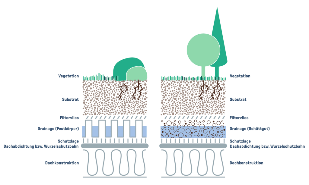Aufbau einer intensiven Dachbegrünung mit Festkörperdrainage (links) und Schüttgutdrainage (rechts)
