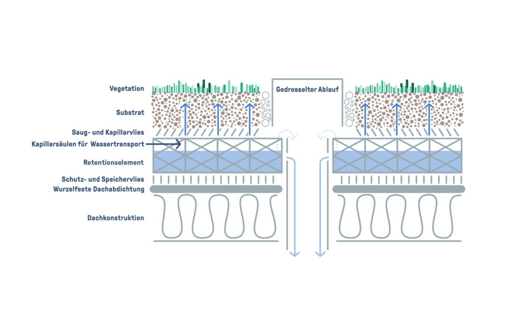 Aufbau eines Retentionsdachs mit einstellbarer Drossel und extensiver Dachbegrünung