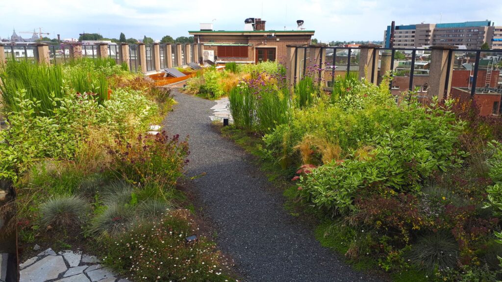 Smartes Dach, entstanden im Rahmen des Projektes RESILIO