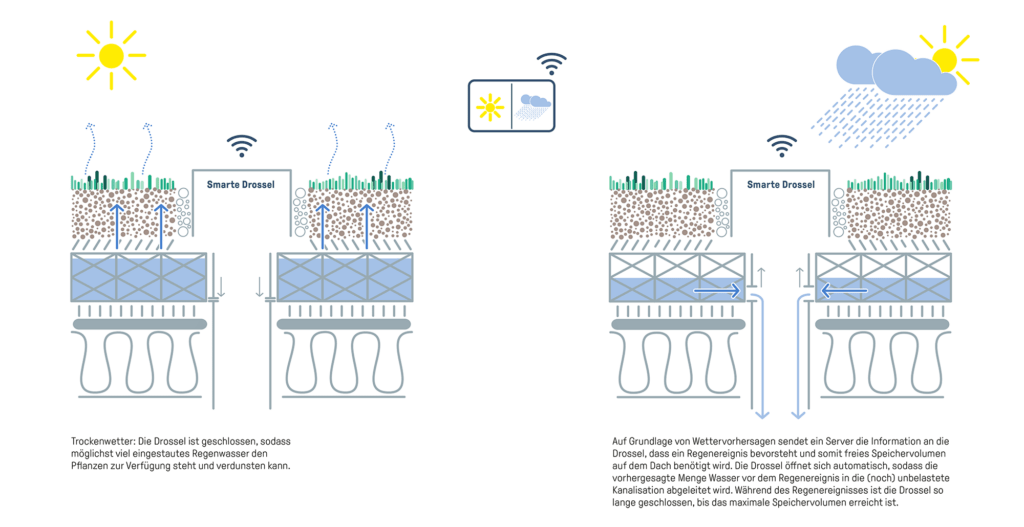 Smartes Dach: Dachbegrünung mit smarter Drossel zur intelligenten Steuerung