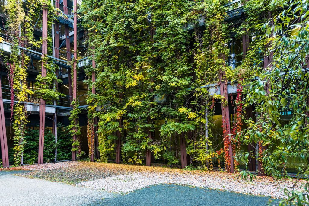 Fassadenbegrünung im Innenhof des Instituts für Physik in Berlin Adlershof