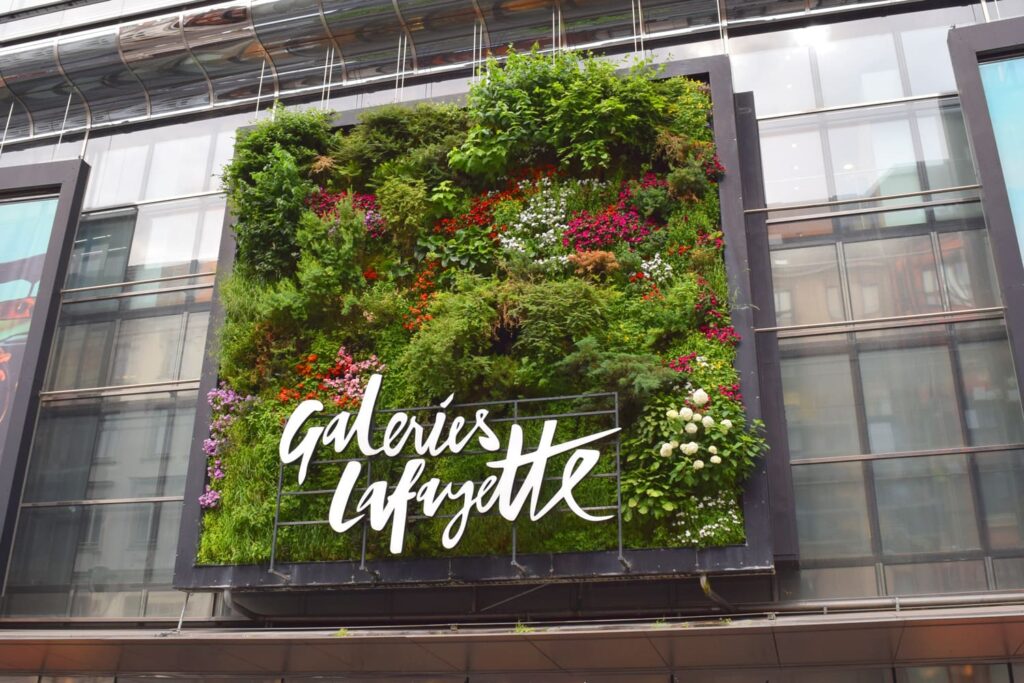 Wandgebundene Fassadenbegrünung - Beispiel