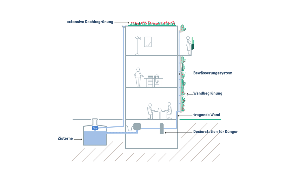 Wandgebundene Fassadenbegrünung in Kombination mit Dachbegrünung und Regenwasser-Zisterne