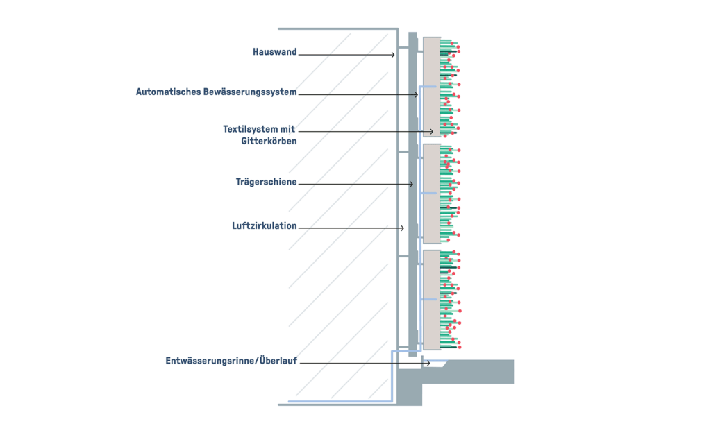 Wandgebundene Fassadenbegrünung: modulares System