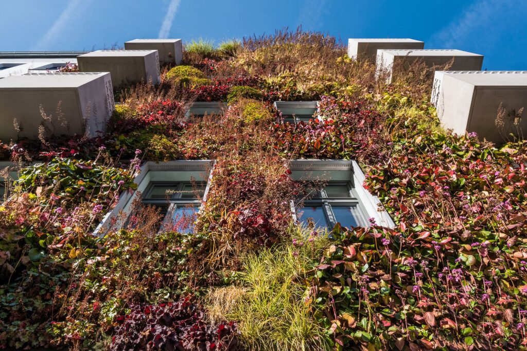 Üppige Fassadenbegrünung an einem mehrstöckigem Haus in Berlin