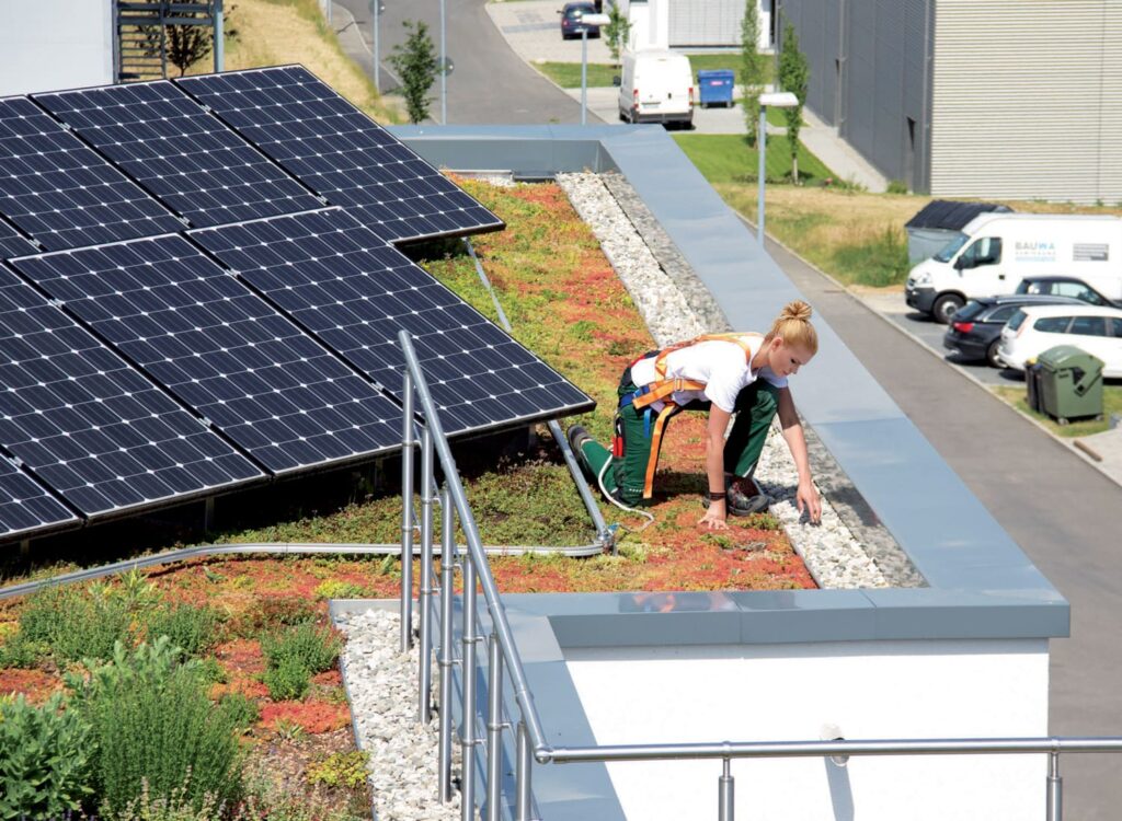 Absturzsicherung auf einem extensiven Gründach mit Solaranlage für die Pflege und Instandhaltung