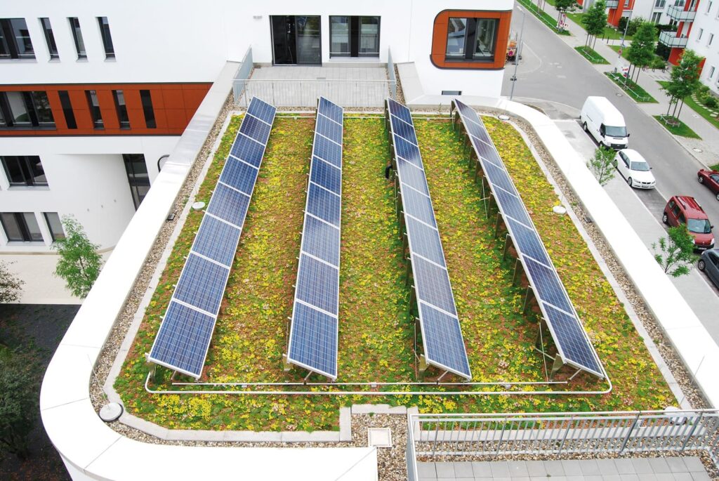 Blick auf ein extensives Gründach mit Solaranlage