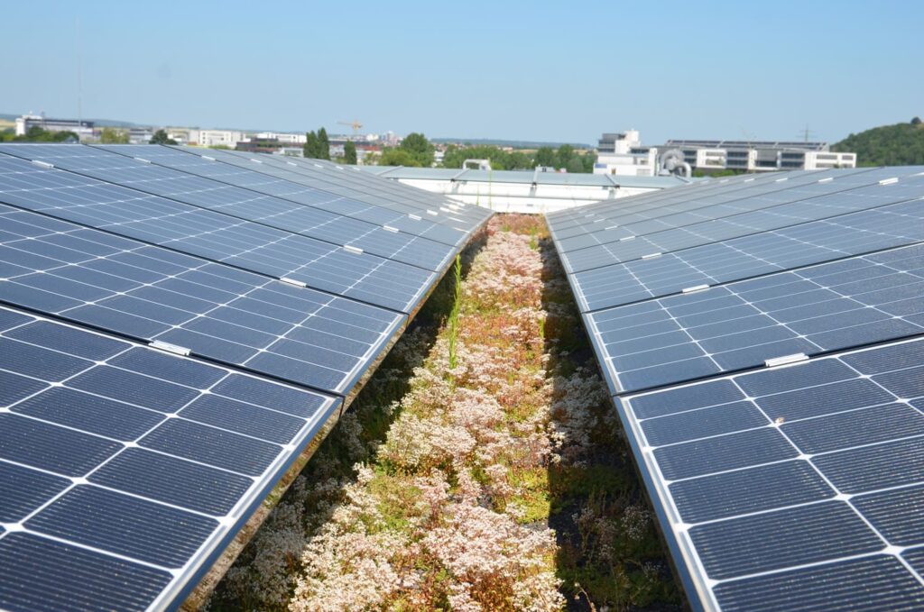 Lücke zwischen zwei PV-Modulen auf extensivem Gruendach