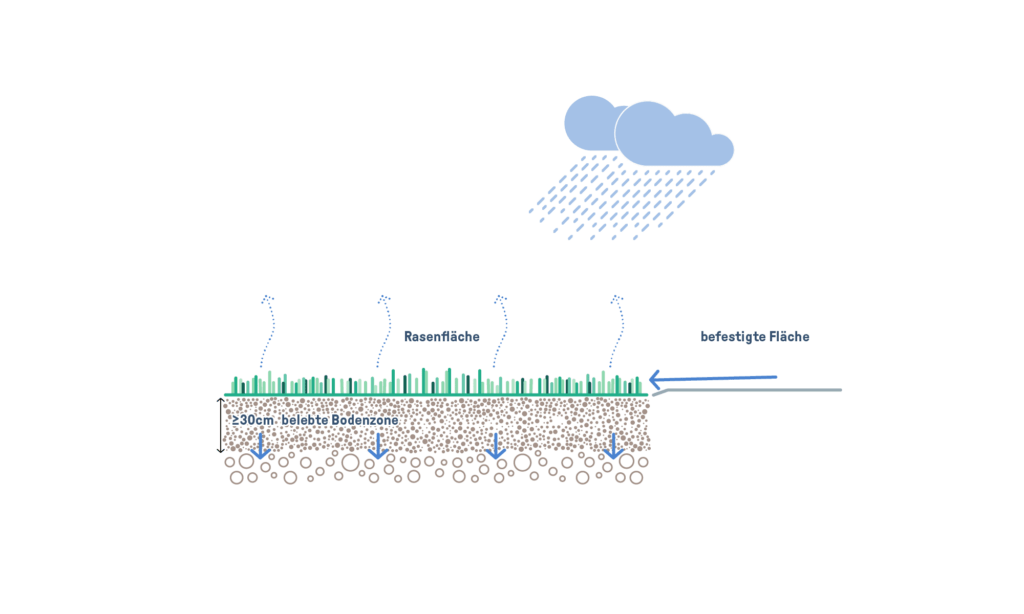 Schematische Darstellung der Funktionsweise von Flächenversickerung auf Rasenflächen