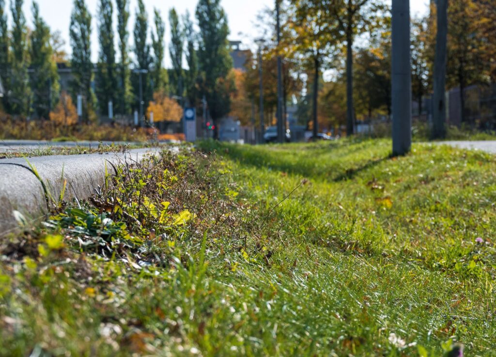 Mulde für die Versickerung von Regenwasser