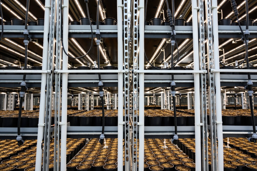 Regenwassernutzung zur Pflanzenaufzucht der ECF Farm