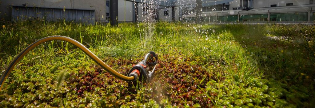 Bewässerung einer Grünfläche mit Regenwasser