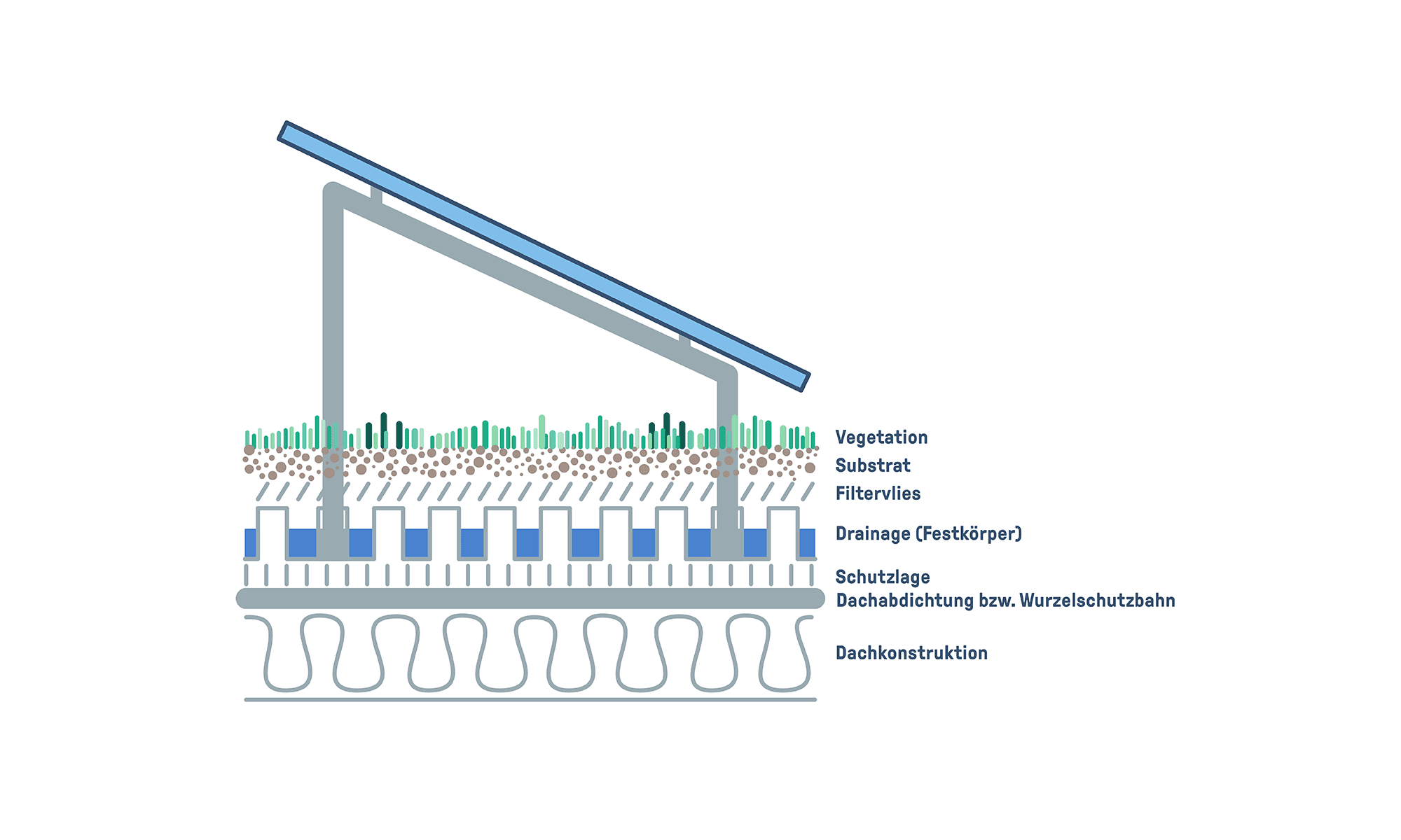 Schematischer Aufbau eines extensiv begruenten Dachs mit Solaranlage.