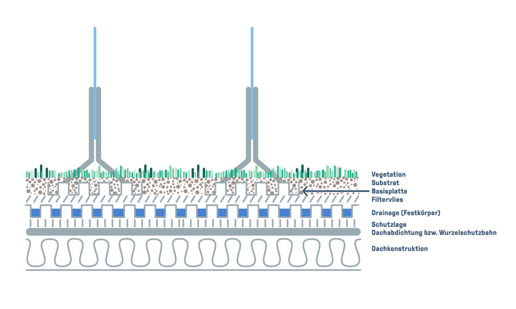 Schematischer Aufbau einer extensiven Dachbegruenung mit vertikaler Solaranlage