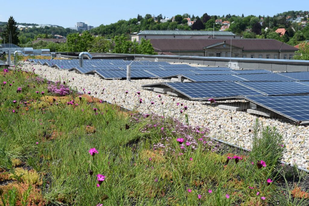 Solaranlage auf Kiesschüttung neben einer Dachbegrünung