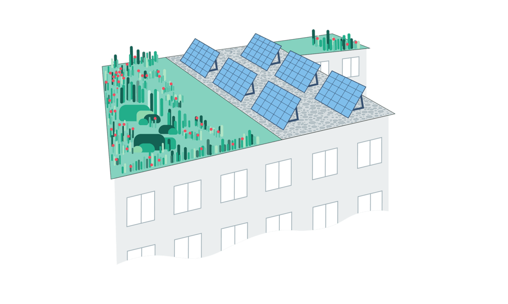 Grafische Darstellung eines Gruendachs und einer Solaranlage nebeneinander angeordnet
