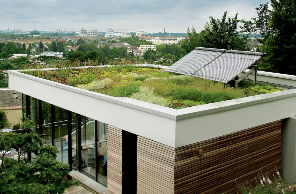 Modernes Haus mit extensiver Dachbegruenung und solarthermischer Anlage darauf