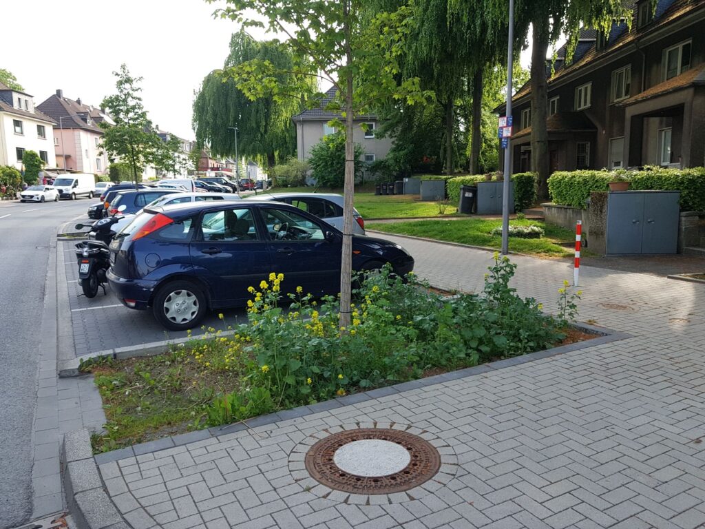 Große Baumrigole neben Parkplatz