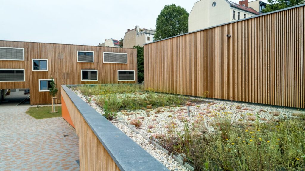 Dachbegrünung auf Waldorf Campus