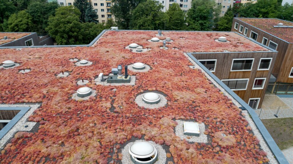 Extensive Dachbegrünung
