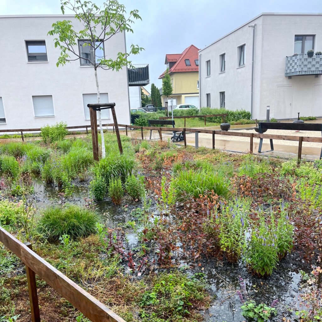 Versickerungs- / Retentions-Beet im Quartier