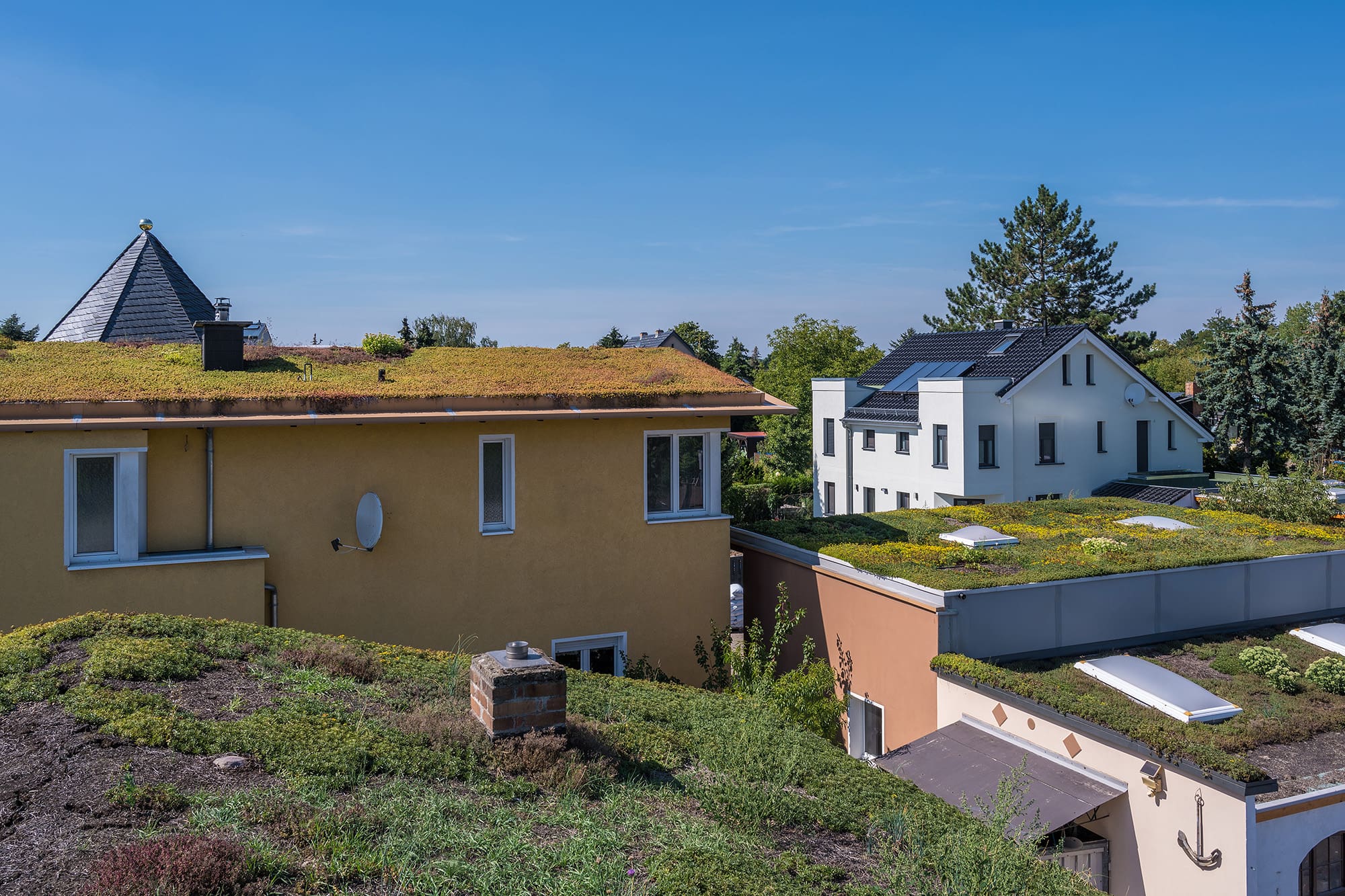 Extensive Dachbegrünung auf Einfamilienhäusern in Berlin-Mahlsdorf
