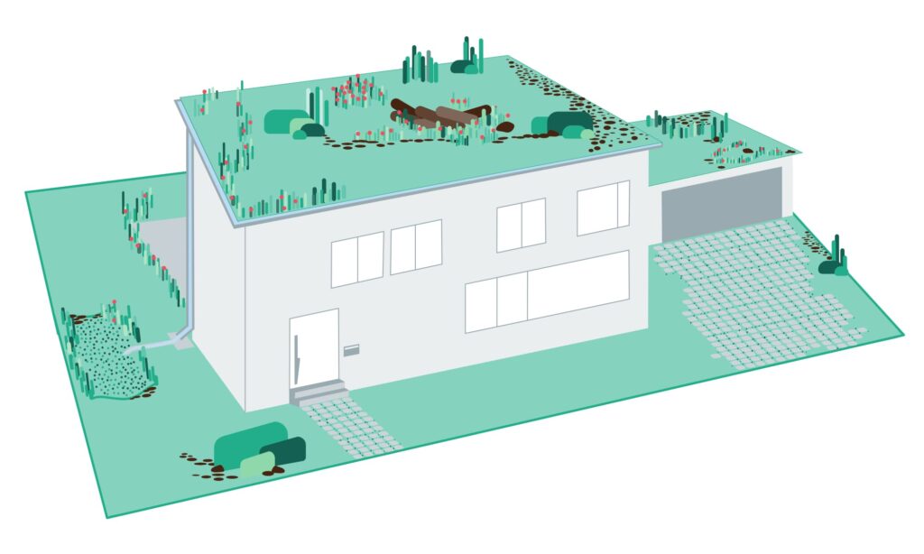 Zeichnung eines Grundstücks mit verschiedenen kombinierten Maßnahmen der Regenwasserbewirtschaftung - dezentrale Grundstücksentwässerung