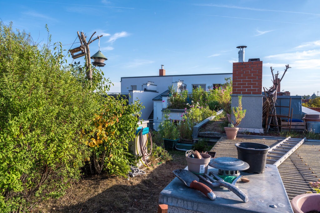 Dachterrasse Bornstraße 14, Berlin Friedenau. Die Berliner Regenwasseragentur vor Ort.