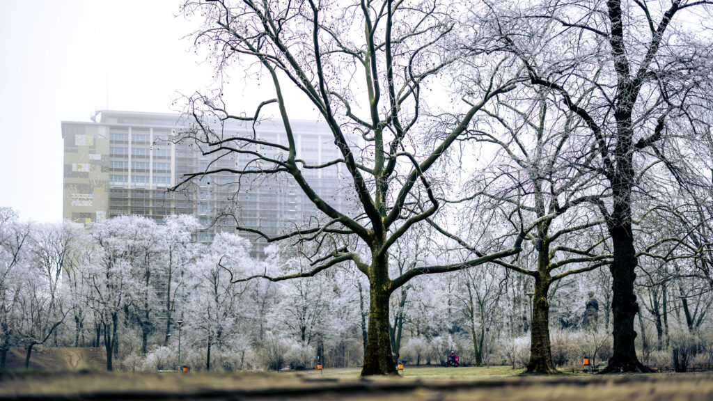 Das in Sanierung befindliche Hochhaus der Senatsverwaltung für Stadtentwicklung, Bauen und Wohnen im Hintergrund, davor der winterliche Preußenpark.