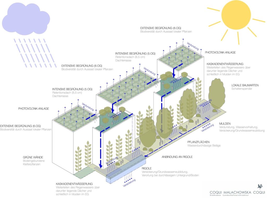 Schema Regenwasserbewirtschaftung