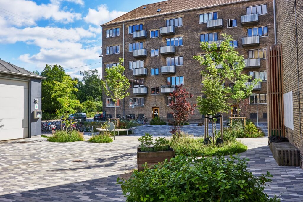 Platz mit begrünten Baumscheiben