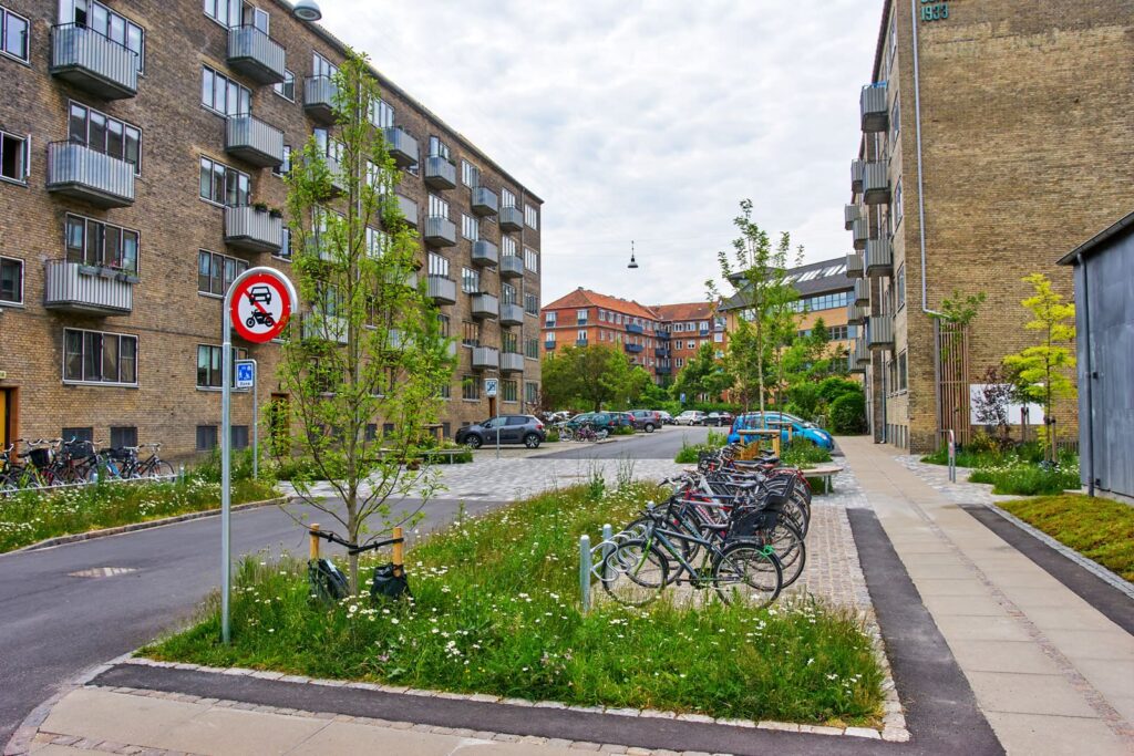 Blühende Versickerungsmulde mit Bäumen