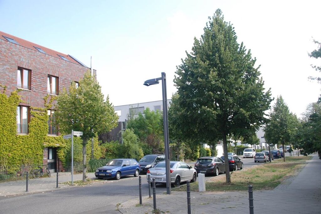 Das Bild zeigt Bäume in Mulden. Im Vergleich zu Bäumen, die nicht in Mulden stehen, erscheinen sie deutlich grüner und besser gewachsen.