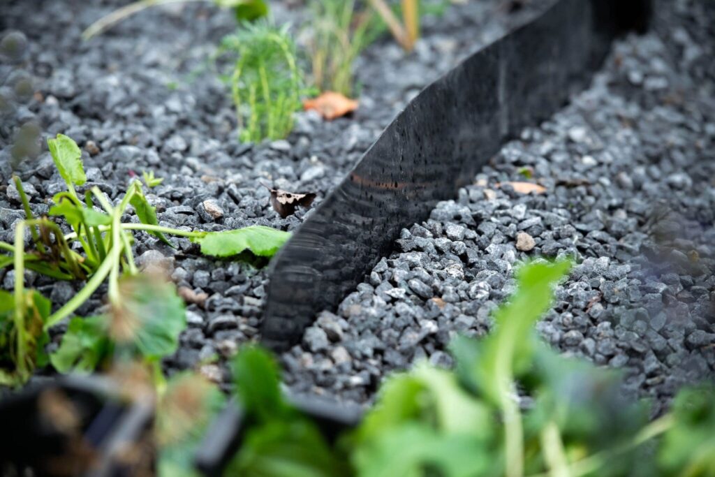 Die Wurzelsperre trennt die linke und rechte Muldenhälfte voneinander, um die Wirkung der beigemischten Biokohle und des Eisenschlamms untersuchen zu können.