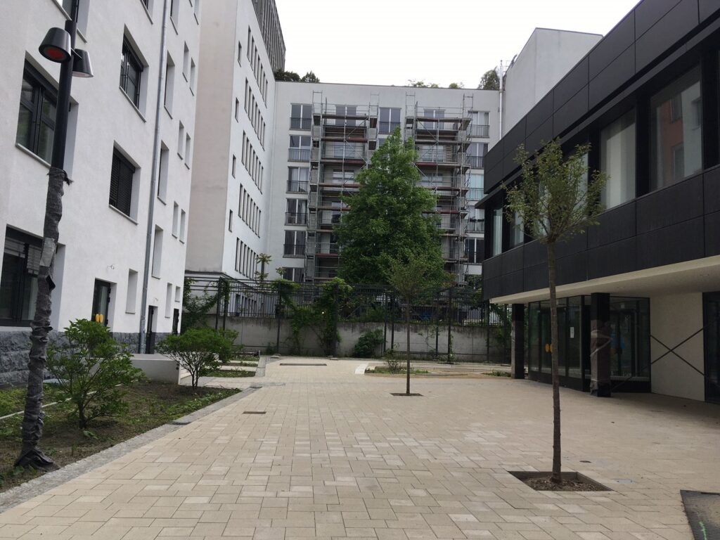 Baumrigole mit 2 Bäumen nach Fertigstellung - Bundesliegenschaft