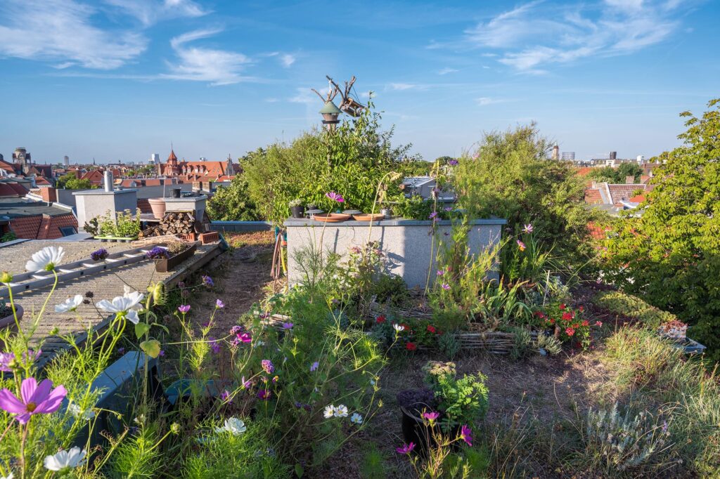 Blühende Beete auf dem Gründach