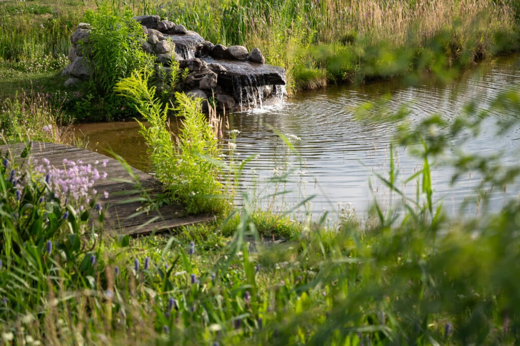 Teich auf dem Gelände der Malzfabrik