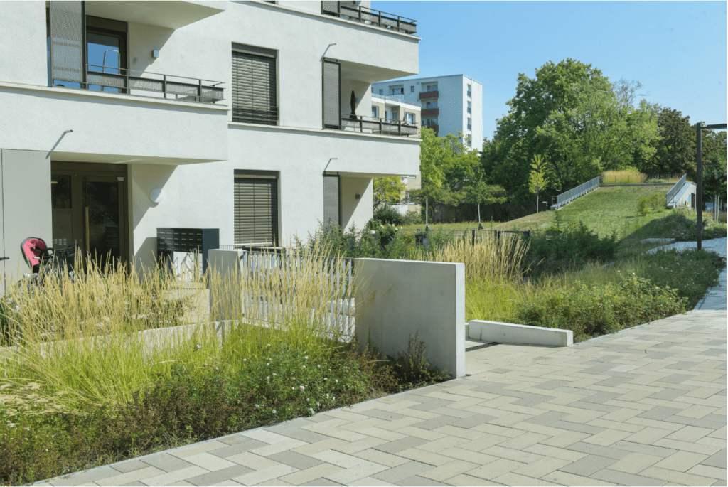 Außenanlage mit Versickerungsmulde und im Hintergrund das Dach der begrünte Tiefgarageneinfahrt