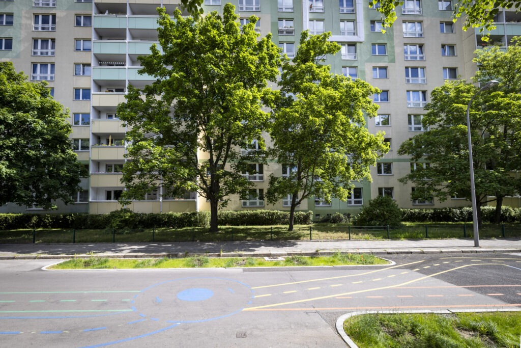 Grüner Gully in der Singerstraße in Berlin Mitte