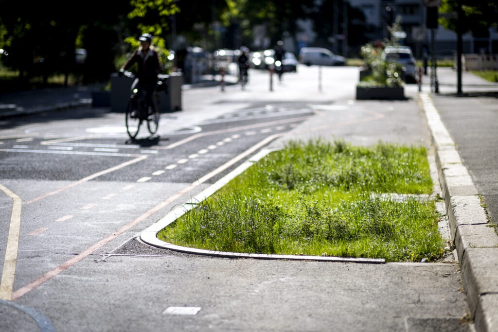 Begrünter Gully in der Singerstraße in Berlin Mitte