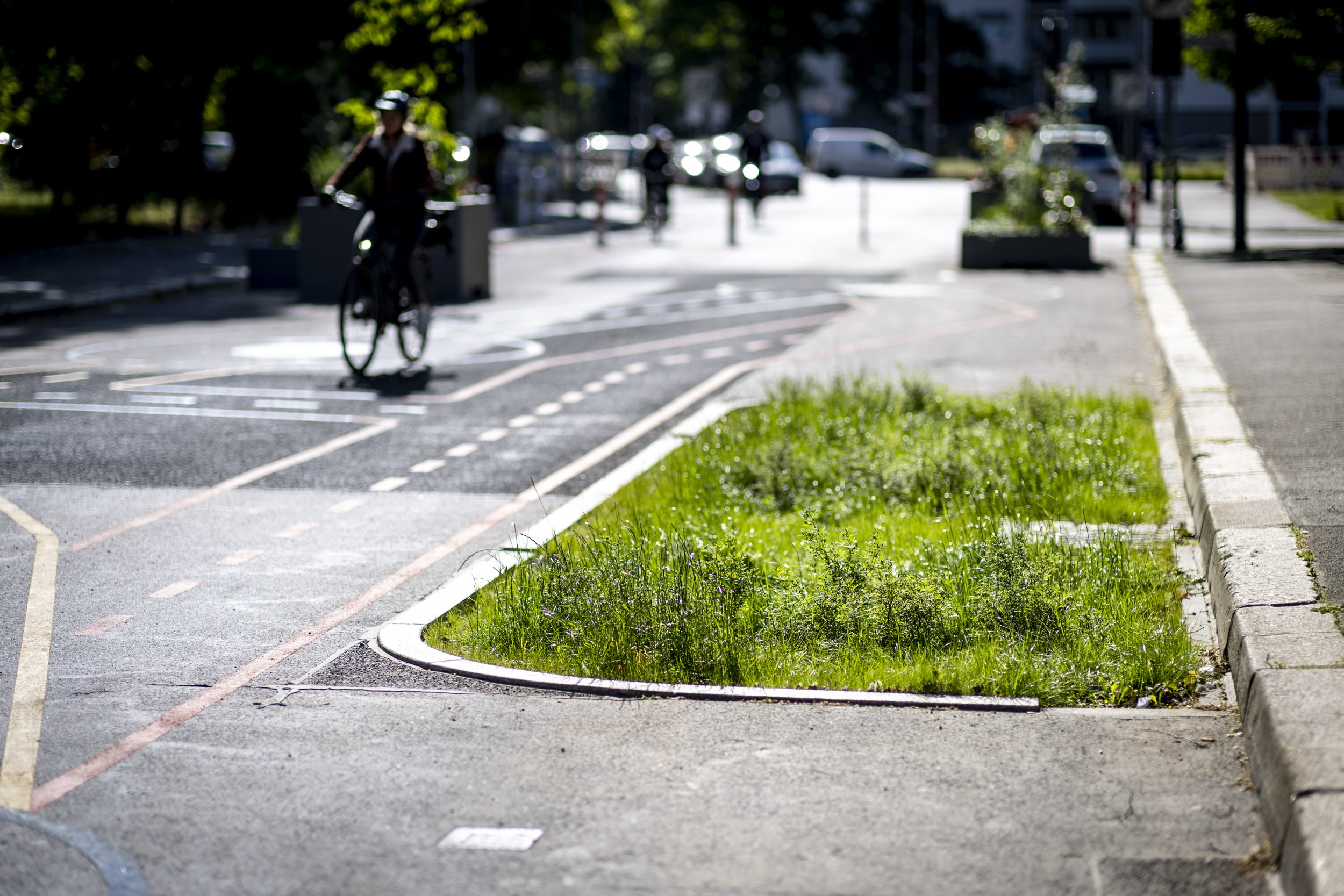Grüner Gully in der Singerstraße in Berlin Mitte