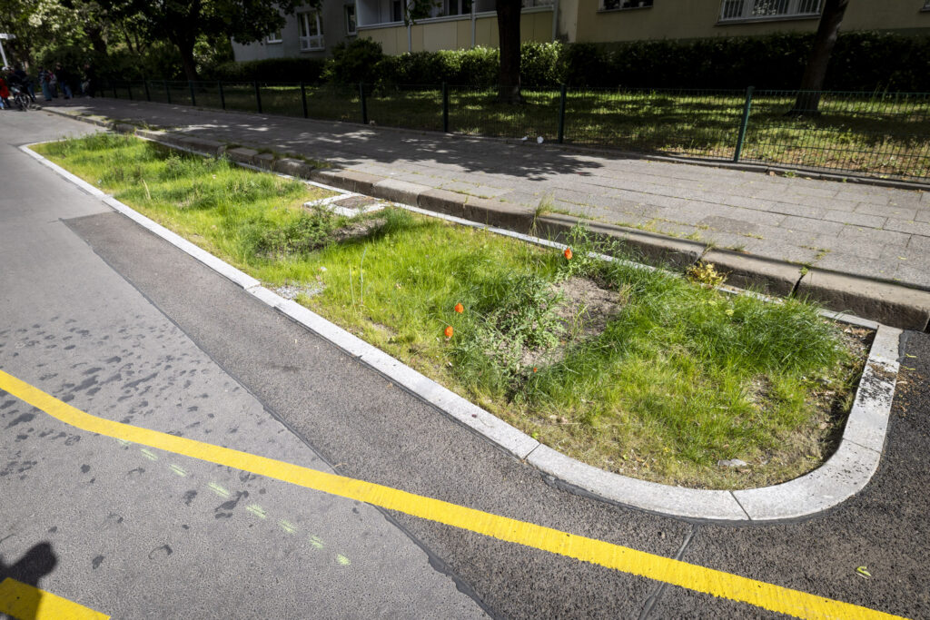 Grüner Gully in der Singerstraße in Berlin Mitte