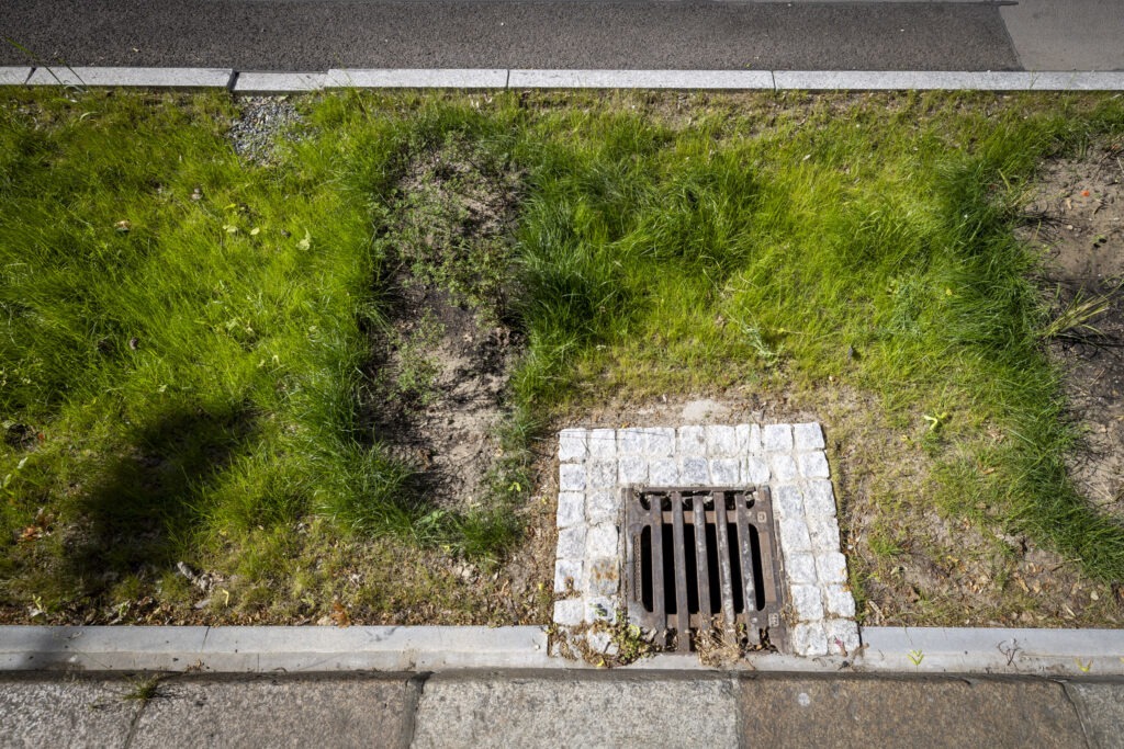 Grüner Gully in der Singerstraße in Berlin Mitte