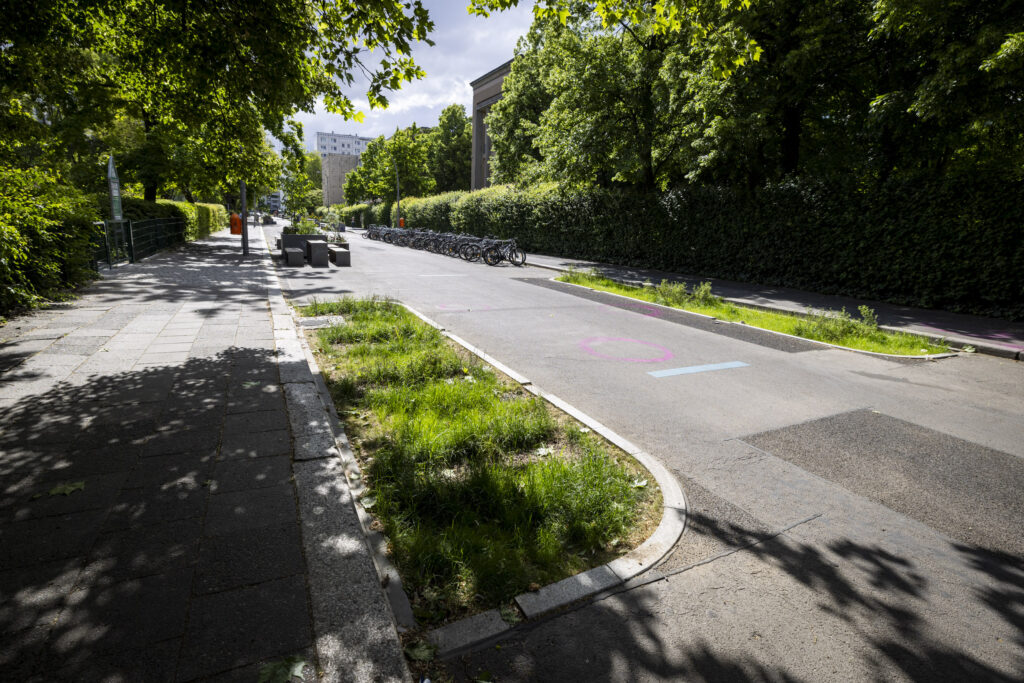 Grüner Gully in der Singerstraße in Berlin Mitte